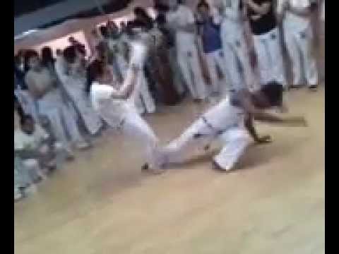 Catha GCB - Inst. Jamaica GCB - Bogotá Colombia