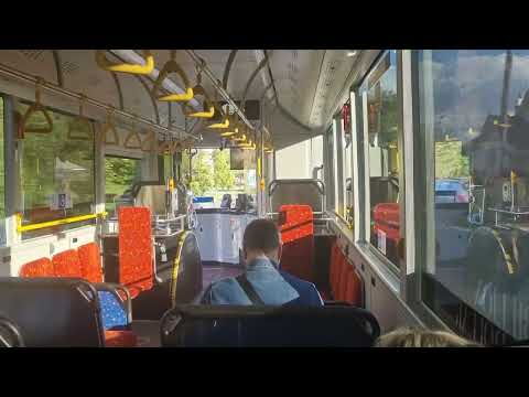 Transit Systems Sydney 8438 - Yutong E12 (Electric)