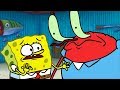 Bob Sponge Spongebob Squarepants Parody