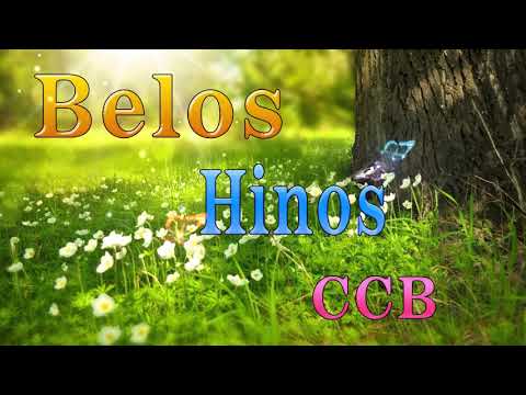 BELOS HINOS CCB 🌹 Hinário 5 🌷 Top Hinos Cantados CCB