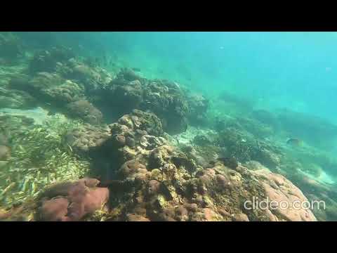 Snorkel en las islas del archipiélago de San Bernardo, Colombia