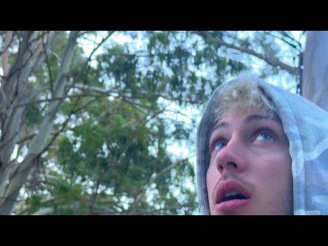 Seven Kayne - like u do