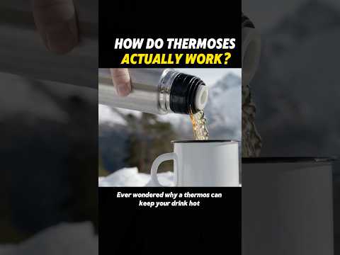 How do thermoses actually work? #knowledge #science #foryou #thermos #cup