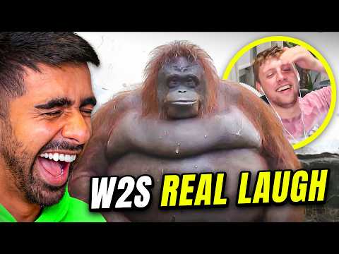 Moments That Brought Out W2S Real Laugh