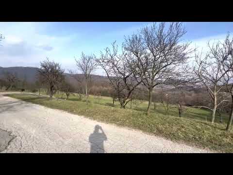 Zabudišová 2023/03