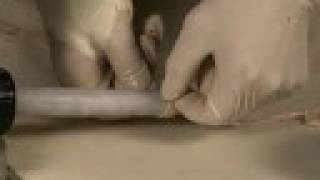 How to Make Sausage At Home