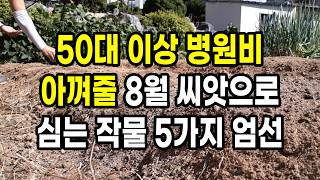 50대 이상 병원비 아껴줄 8월 씨앗으로 심는 작물 5가지