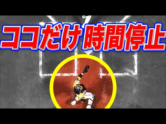 時間が止まった!? 本日のまとめるほどではないまとめ