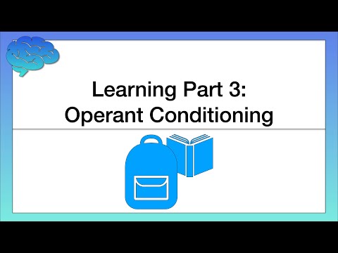 What is Operant Conditioning? How We Learn