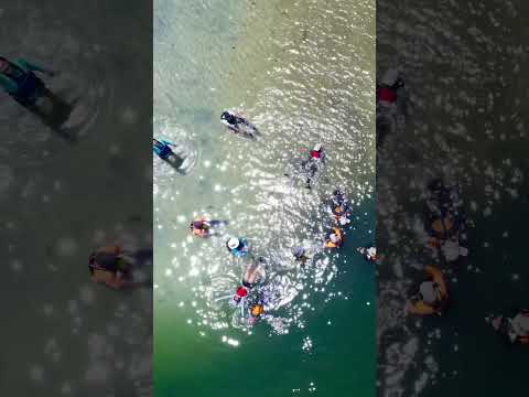 Kayak en higuerote edo Miranda #higuerote #drone #kayak #turismodeaventura #travel #playa #travel