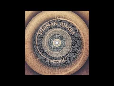 Shaman Jungle - 4. Pyre (2017)