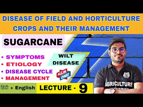 Diseases of Fleld and Horticultural Crops their Management syllabus analysis
