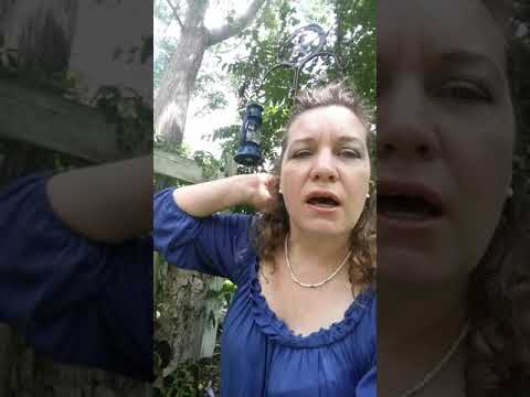 Trees in the name of Sabika Sheikh; Santa Fe shooting victim from Pakistan.