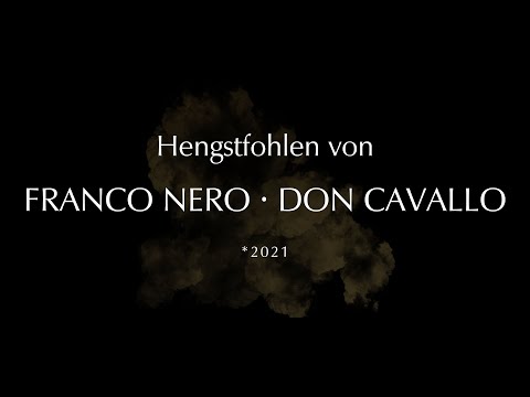 Hengstfohlen von Franco Nero - Don Cavallo - Grand Cru