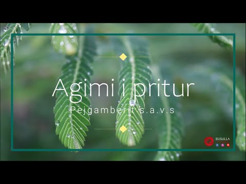 Agimi i pritur - Dritë e pashuar  (Pejgamberi s.a.v.s.)