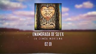 Enamorada De Su Ex Lyrics English Translation