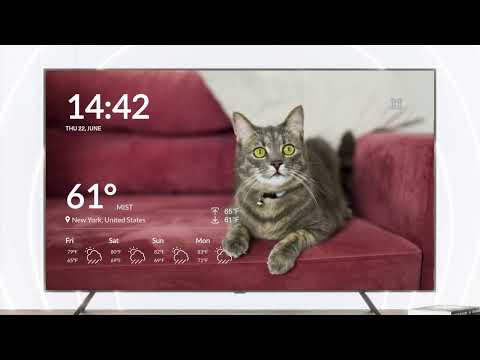 Photo Wallpaper