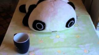 Never say no to panda samurai tea