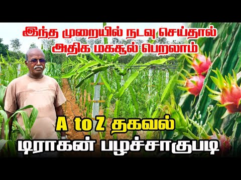 டிராகன் பழச்சாகுபடியில் அதிக மகசூல் பெற | A to Z தகவல் | Dragon Fruit Farming | Iyarkai Annai