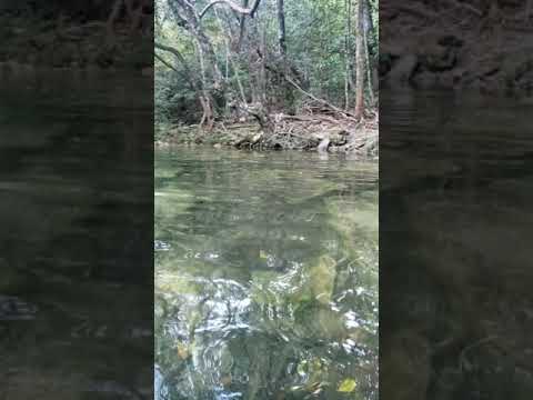 Cachoeira Serra Dourada Mossâmedes-Go.