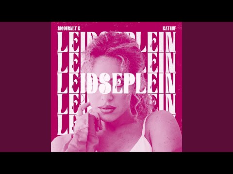 Video thumbnail for Leidseplein