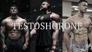 Türk Fitness Alemi Motivasyon