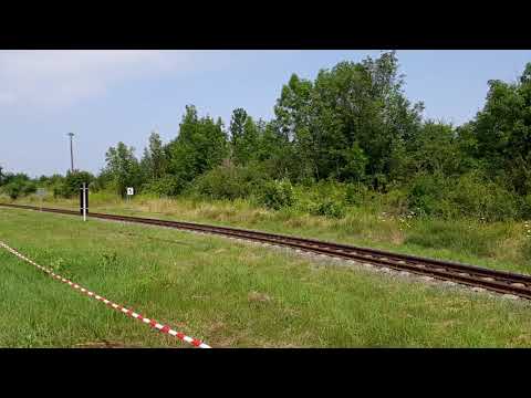 Harzer Schmalspurbahn 2021 / Die Selketalbahn (24.07.2021)