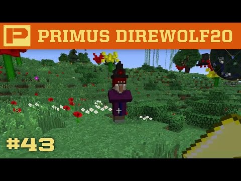 Primus Direwolf20 - Coven Witches be Crazy - 043