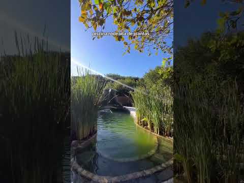 Praia de Pipa- Rio Grande do Norte, Brasil. #automobile #chuvas #noticias