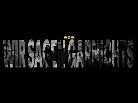 Akten auf den Tisch.mp4  #freetrack