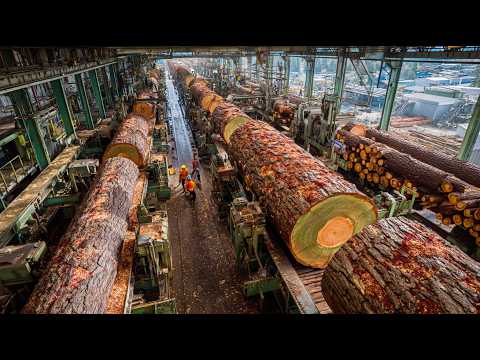 America’s Log to Lumber in Minutes: Millions of Boards Produced Daily by Modern Automatic Machines