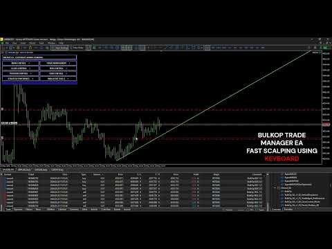Video BulkOp Trade Manager
