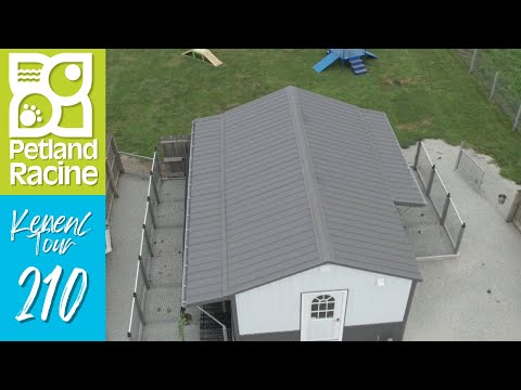Petland Racine Kennel Tour 210