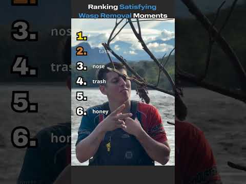Ranking Satisfying Wasp Removal Moments😂😂#shorts