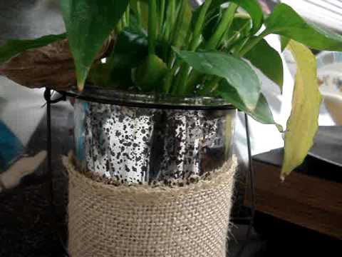 Teddy Brown With The Manhattan  Melodymakers - Fairy On The Clock