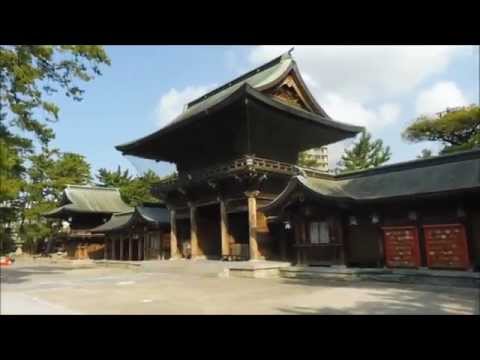 新潟市新潟総鎮守「白山神社」【NIIGATA GOOD CONTENTS】