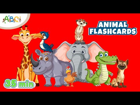 Animal Flashcards for Toddlers | Learn Animal Names with Over 100 Different Animals for Kids