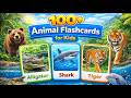 Animal Flashcards For Toddlers Learn Animal Names With Over 100 Different Animals For Kids