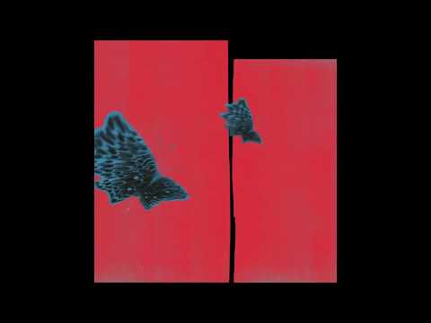 Enduro Disco - Standing Up