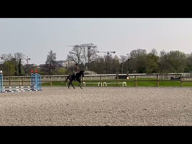 Demi-pension &agrave; Maissons Laffitte