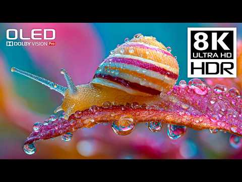 BEST OF 8K HDR 120FPS Dolby Vision (8K Video ULTRA HD)