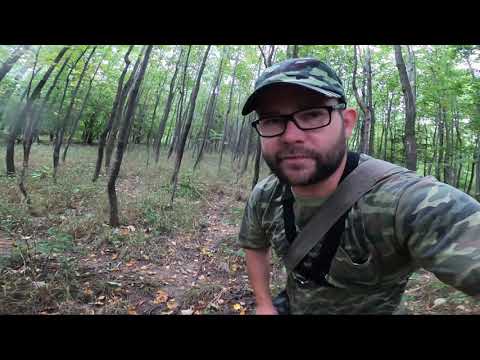 Wykopki wyprawa #107 Deszczowy las