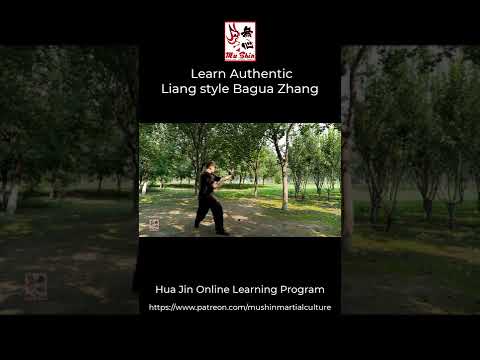 Hua Jin Online Learning Program - Bagua Zhang Glimpses #03 #shorts #Baguazhang