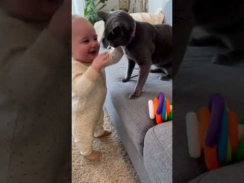 Cat Gently Pulls Baby Away from Couch Edge | Heartwarming Home Moment