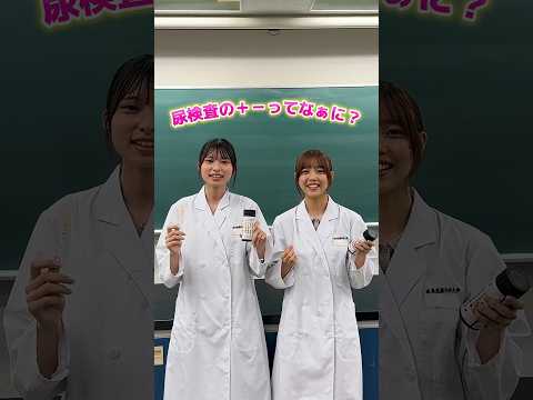 薬学科 尿検査の＋－ってなぁに？色で分かる健康チェック⁈臨床検査技師が分かりやすく解説！#岐阜医療科学大学 #医療系学生 #medstudent #尿検査#健康診断 #臨床検査技師#medstudent