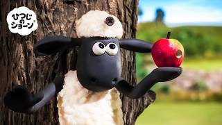 Download lagu しゃうんとむげんのぼうけん 🐑😜🍎✨｜ひつじのしょーん しーずん7 mp3