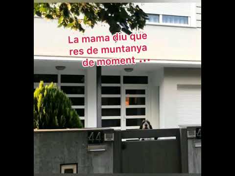 Tot anirà bé- Cap i Cua