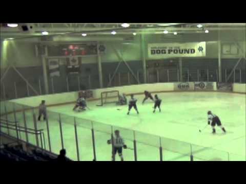 UOIT Women's Hockey vs. York University