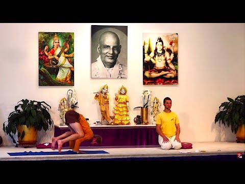 Yogastunde Mittelstufe Yoga Vidya Grundreihe: "Im Gleichgewicht" mit Kalidas 16:15 Uhr 30.06.2020