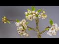 How Flower Grow Cut Flower Garden National Geographic